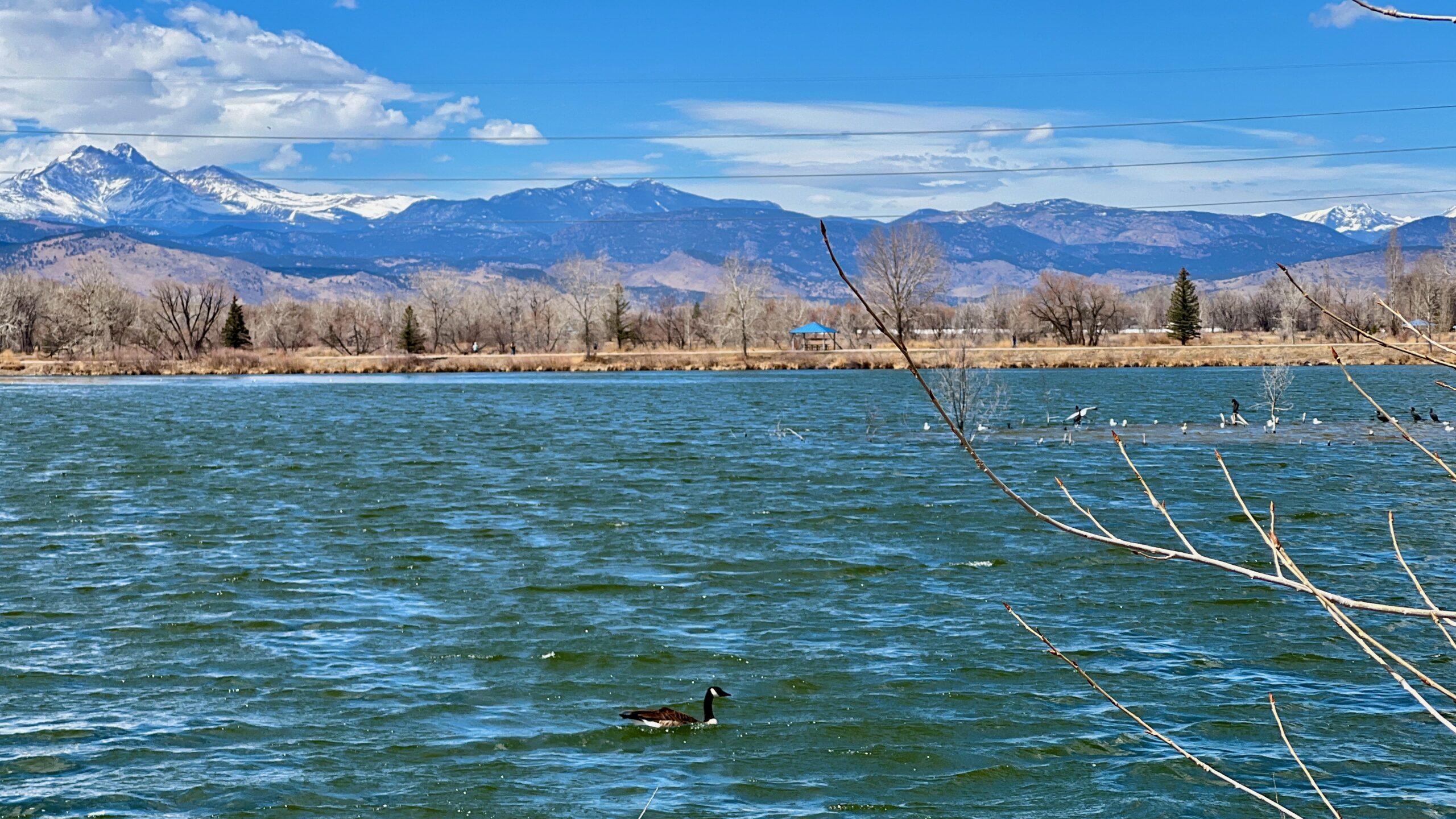 Golden Ponds Park